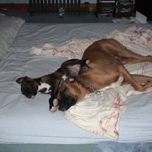 Nap Time for 2