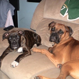 We can be on the couch... right?