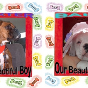 Baxter & Baily