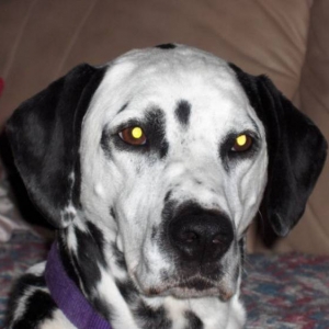 ohhh mom's got the camera again!