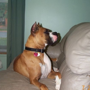 On alert!