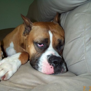 What a rough day!