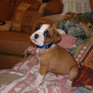 Aren't I cute?