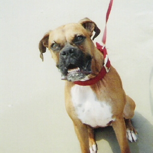 asia at the beach