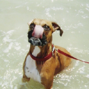 thats a long tongue!