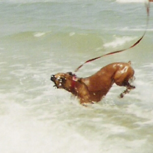 hoppin' around