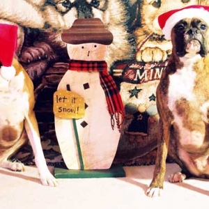 Merry Christmas (2003) from Dempsey and Maximus