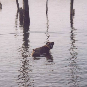 Murphy