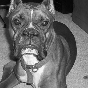 Some Say I Look Scary...No Way!