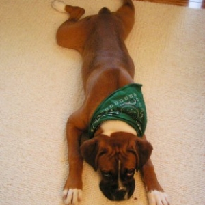 Frogs Legs