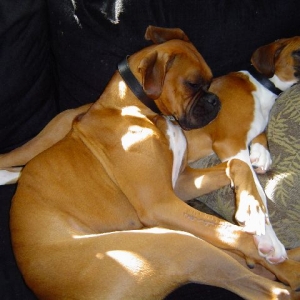 Cuddling