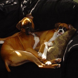 Cuddles