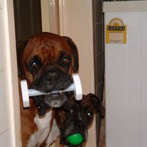 Hey, thats my dumbell!