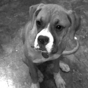 Baby Gurl