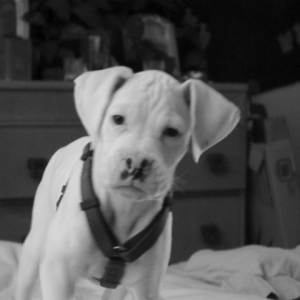 Kea @ 10 weeks