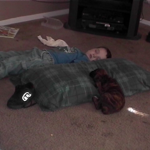 All tuckered out!