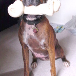 My Bone!  Yep.....MYYYYYY Bone!
