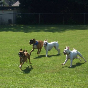 Look at us go...