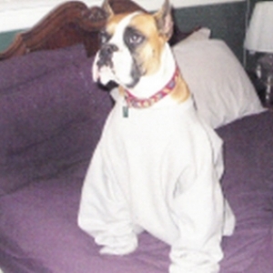 Jake Wearing A Sweatshirt