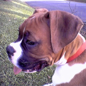 Jesse, strikin' a pose!
