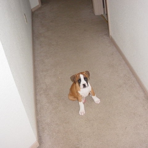 tyson5