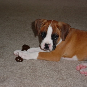 tyson7