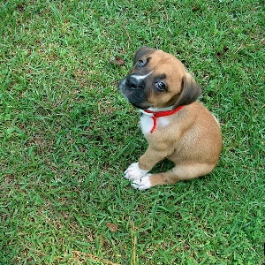 Junior's First Week Home!