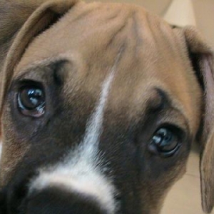 Look into my eyes...