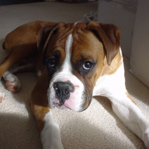 first day at new home (2)