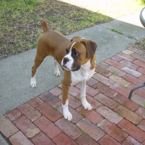 outside is fun