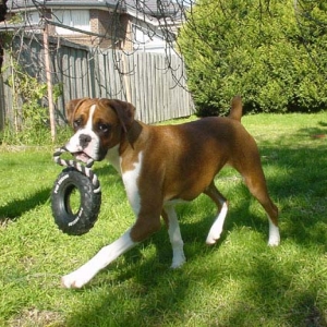 I love to play
