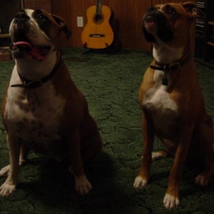 My two babies