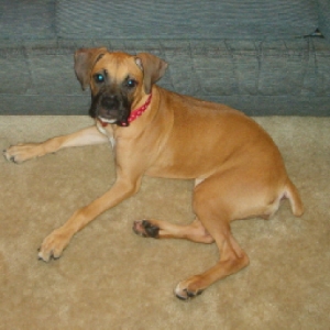 Morgan at 18 weeks old