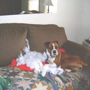 Not a bubble bath...it's a couch!