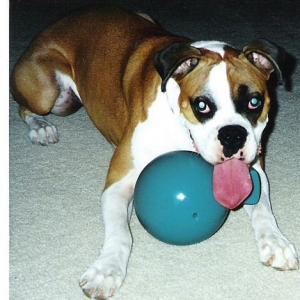 Annie 10-26-00  to 11-5-02