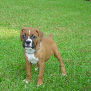 Jayden at 7 weeks