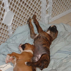 My legs are falling asleep