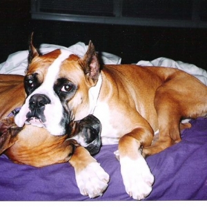 Best friends Jake and Abbie