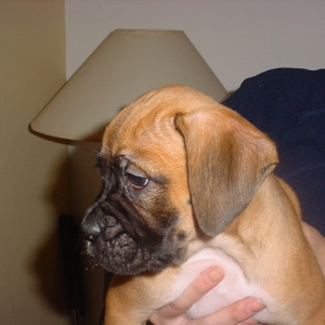 Buster