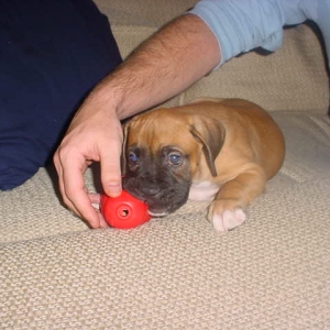 Buster