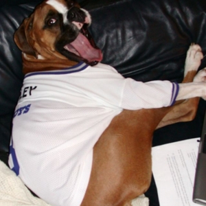 Football Fan