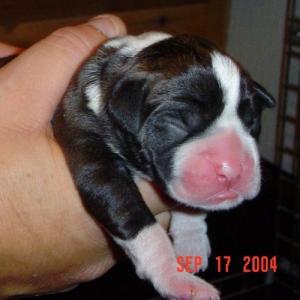 New Pride and Joy of the family!!!