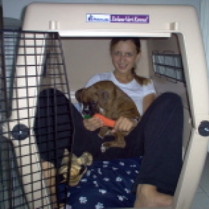 Getting familiar with the crate