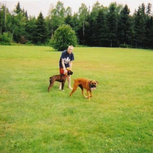 Pups and Daddy