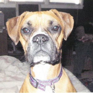 Pretty girl Abbie