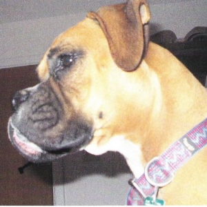 Abbie