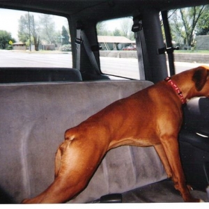 Lets go Mom!