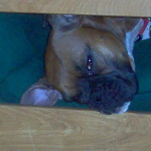 Sleepy