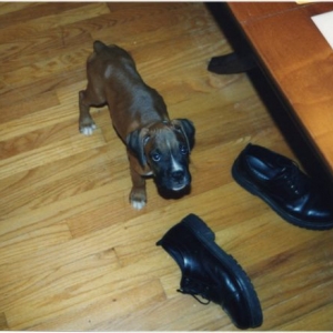 pup2