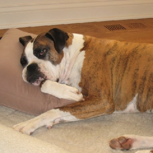 Pete Leads Tough Life